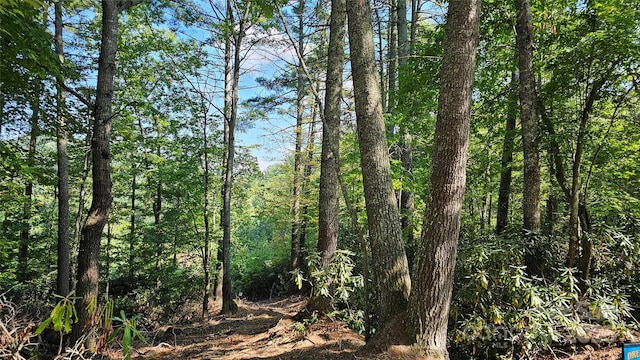 LOT6 Rosewood Ln Unit 6, Burnsville, NC 28714 - photo 1
