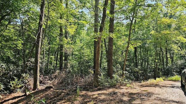 LOT6 Rosewood Ln Unit 6, Burnsville, NC 28714 - photo 2