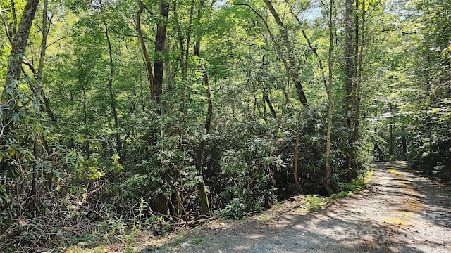 LOT6 Rosewood Ln Unit 6, Burnsville, NC 28714 - photo 3