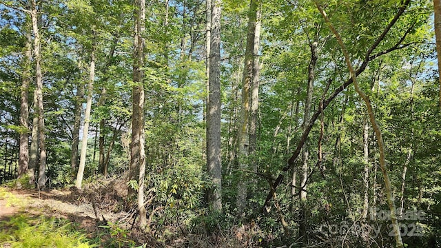 LOT6 Rosewood Ln Unit 6, Burnsville, NC 28714 - photo 4