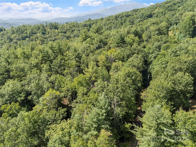 LOT6 Rosewood Ln Unit 6, Burnsville, NC 28714 - photo 5
