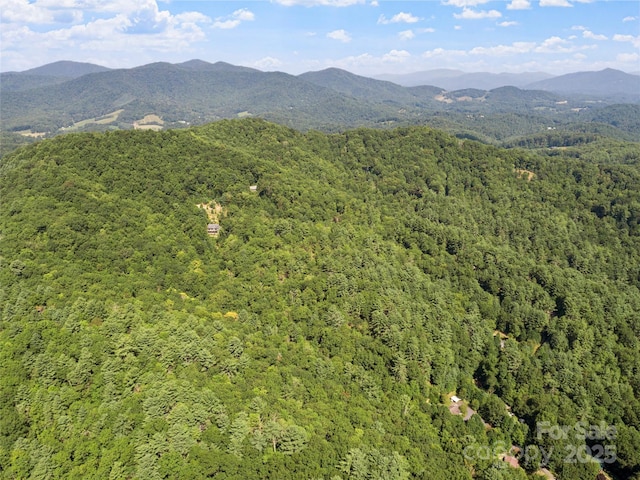 LOT6 Rosewood Ln Unit 6, Burnsville, NC 28714 - photo 8
