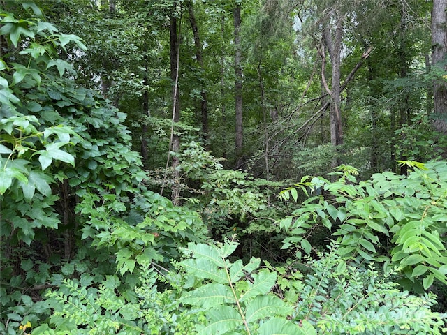 0.53 S Jim Mccarter Rd, York, SC 29745 - photo 7