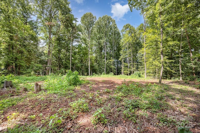 171 Lakeview Rd, Mocksville, NC 27028 - photo 3
