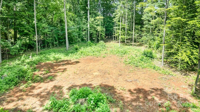 171 Lakeview Rd, Mocksville, NC 27028 - photo 4
