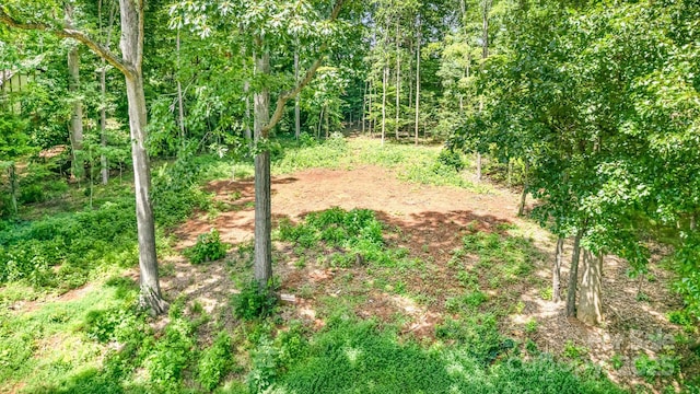 171 Lakeview Rd, Mocksville, NC 27028 - photo 5