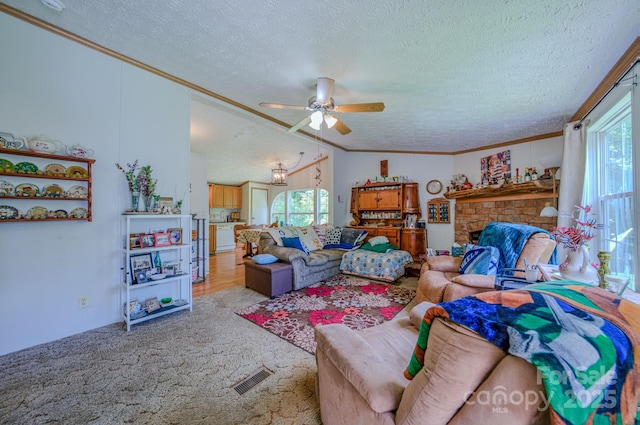 192 Lady Bug Ln, Penrose, NC 28766 - photo 8