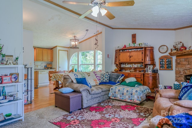 192 Lady Bug Ln, Penrose, NC 28766 - photo 10