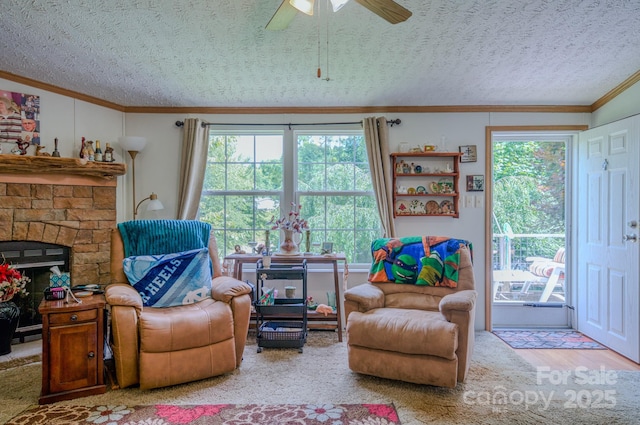 192 Lady Bug Ln, Penrose, NC 28766 - photo 11