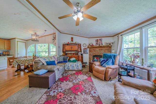 192 Lady Bug Ln, Penrose, NC 28766 - photo 12