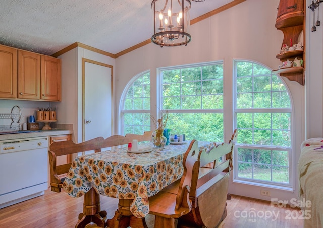 192 Lady Bug Ln, Penrose, NC 28766 - photo 15