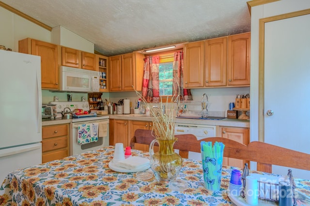 192 Lady Bug Ln, Penrose, NC 28766 - photo 18