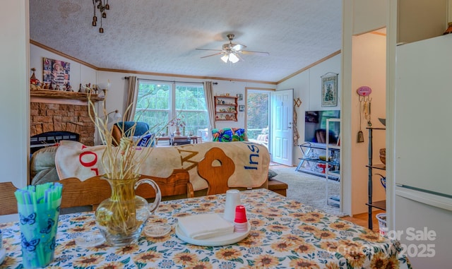 192 Lady Bug Ln, Penrose, NC 28766 - photo 19
