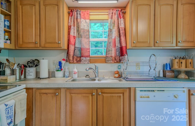 192 Lady Bug Ln, Penrose, NC 28766 - photo 20