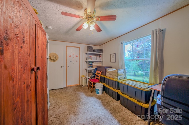 192 Lady Bug Ln, Penrose, NC 28766 - photo 27