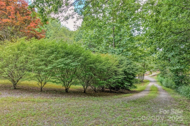 192 Lady Bug Ln, Penrose, NC 28766 - photo 31