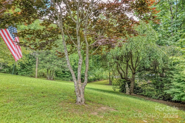 192 Lady Bug Ln, Penrose, NC 28766 - photo 32