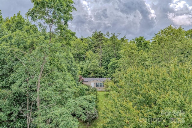 192 Lady Bug Ln, Penrose, NC 28766 - photo 33