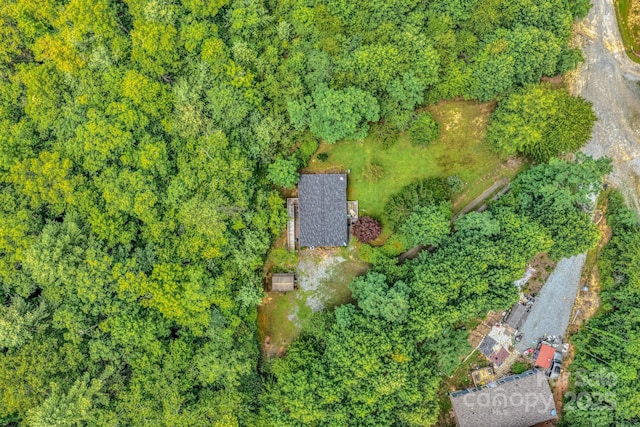 192 Lady Bug Ln, Penrose, NC 28766 - photo 34