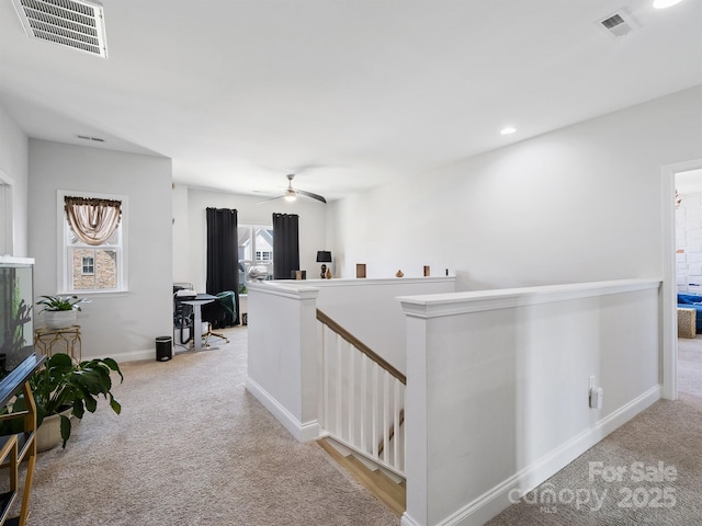 15213 Shallow Ridge Rd, Charlotte, NC 28278 - photo 26