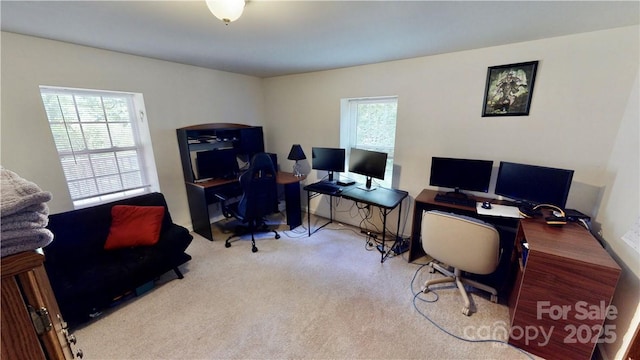 6342 Macon St, Charlotte, NC 28208 - photo 17