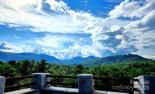156 Quartz Mine Rd, Lake Toxaway, NC 28747 - photo 2
