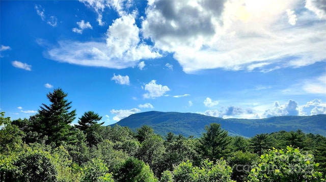 156 Quartz Mine Rd, Lake Toxaway, NC 28747 - photo 3