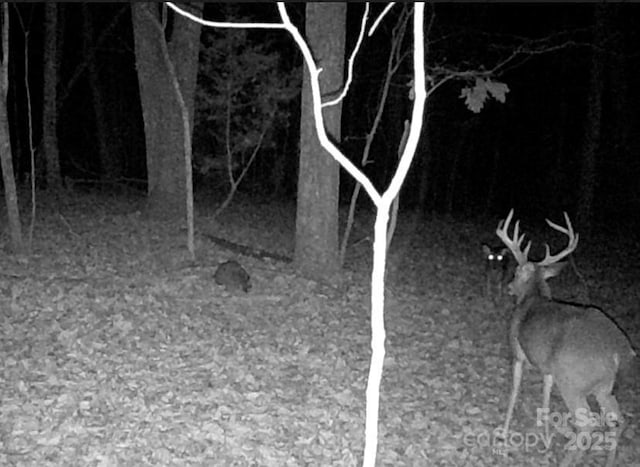 TBD Southfork Rd, Lincolnton, NC 28092 - photo 3