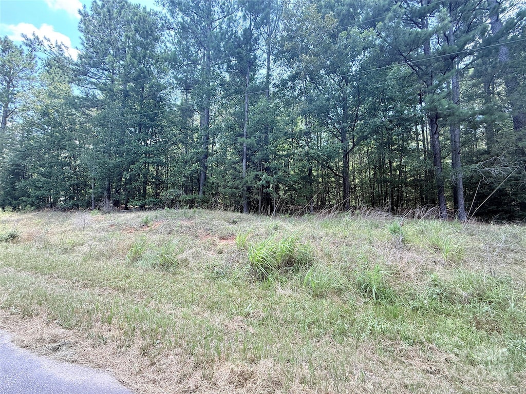 4.7ACRES Blade Run Rd, Edgemoor, SC 29712 - photo 1