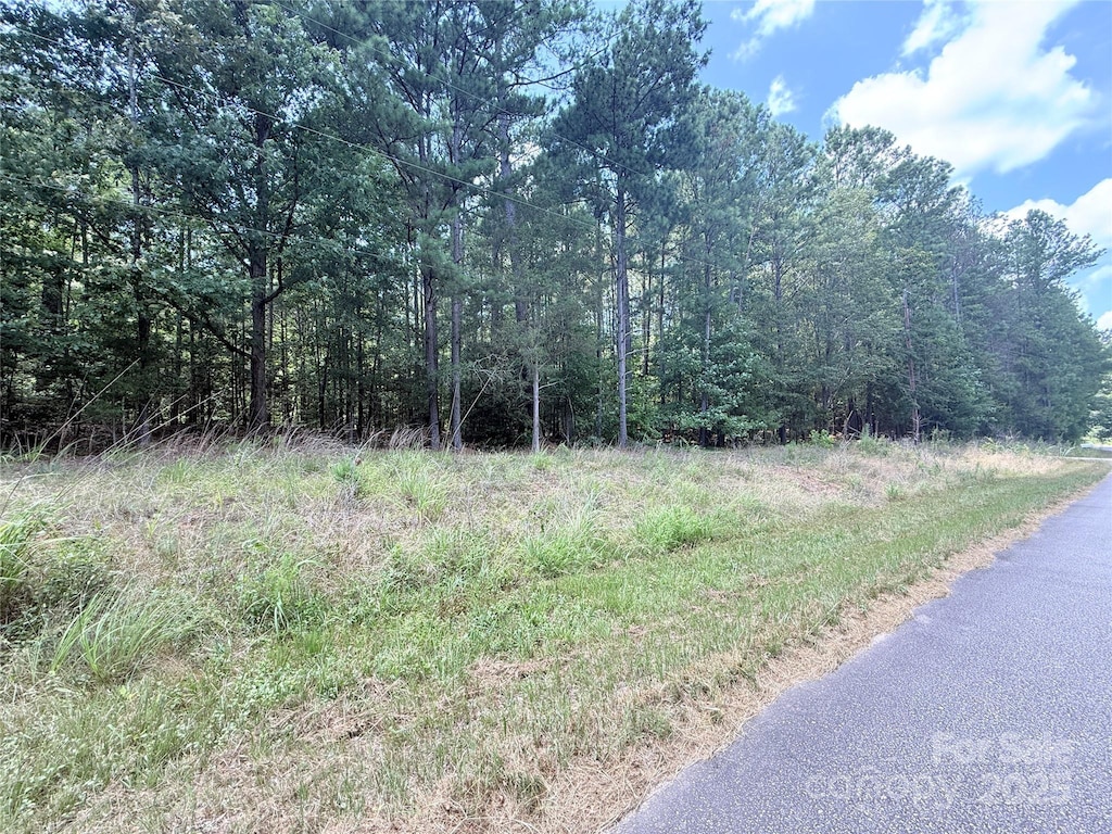 4.7ACRES Blade Run Rd, Edgemoor, SC 29712 - photo 2