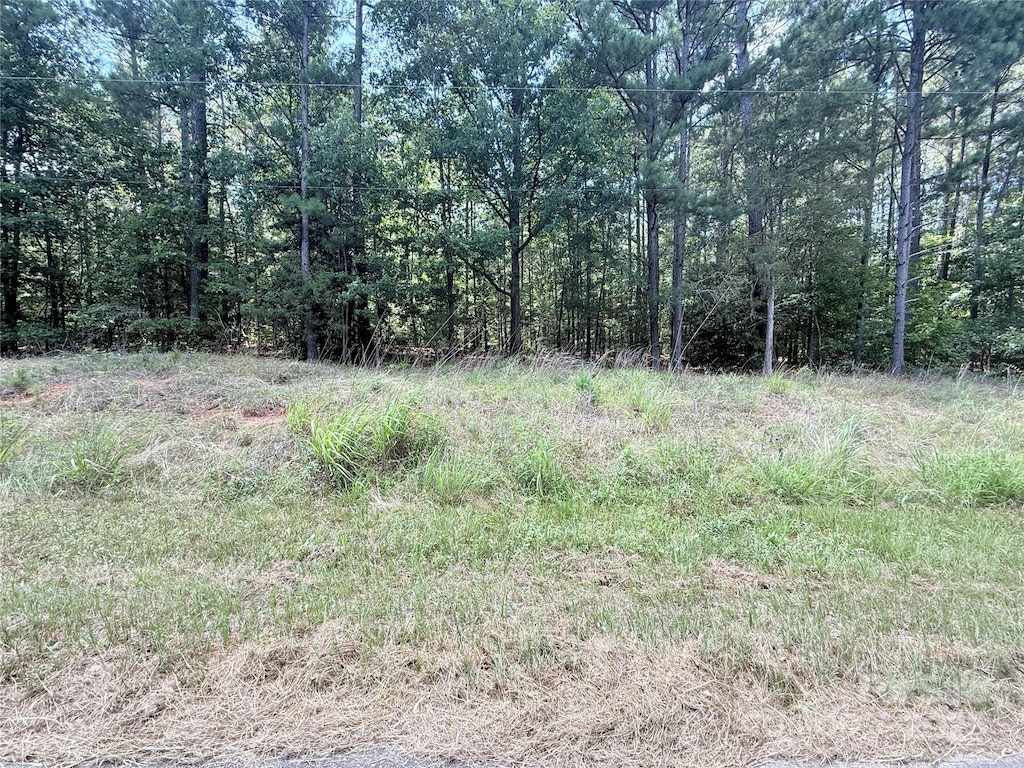 4.7ACRES Blade Run Rd, Edgemoor, SC 29712 - photo 3