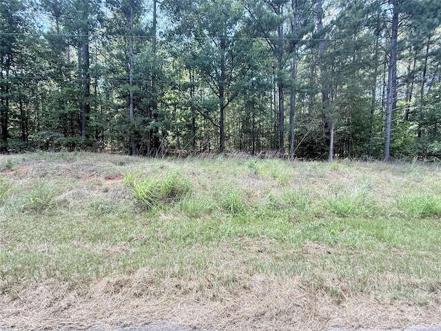 4.7ACRES Blade Run Rd, Edgemoor, SC 29712 - photo 3