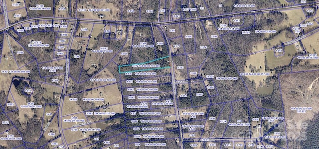 4.7ACRES Blade Run Rd, Edgemoor, SC 29712 - photo 4