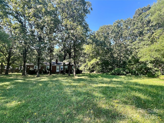 1513 Price Rd, Indian Trail, NC 28079 - photo 38