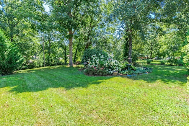 1490 Quiet Acres Cir, Rock Hill, SC 29732 - photo 38