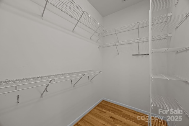 908 Haddonfield Dr, Fort Mill, SC 29708 - photo 36