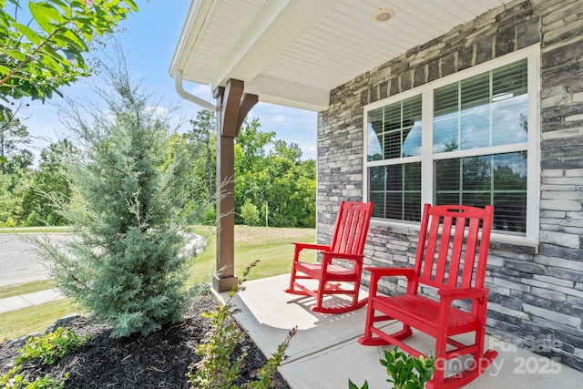 4272 Spadefoot Ct, Lancaster, SC 29720 - photo 4