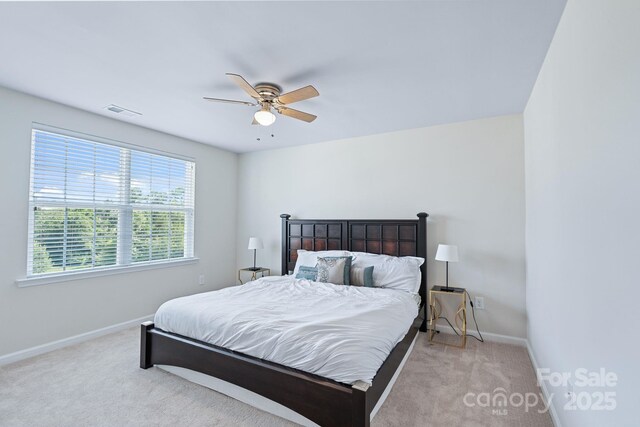 4272 Spadefoot Ct, Lancaster, SC 29720 - photo 23