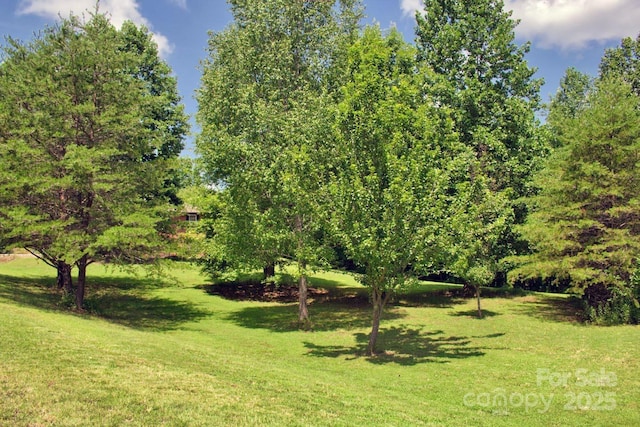 654 Moonlight Pass, Union Mills, NC 28167 - photo 21