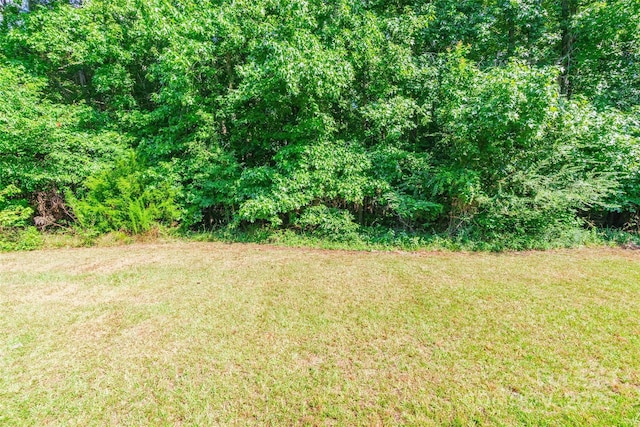 2320 Colvin Rd, Chester, SC 29706 - photo 28