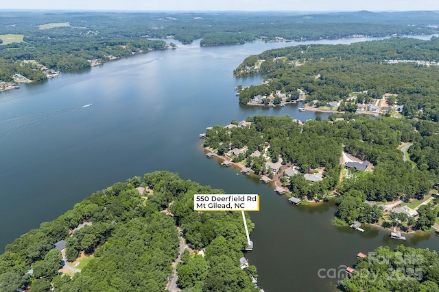 550 Deerfield Rd, Mount Gilead, NC 27306 - photo 29