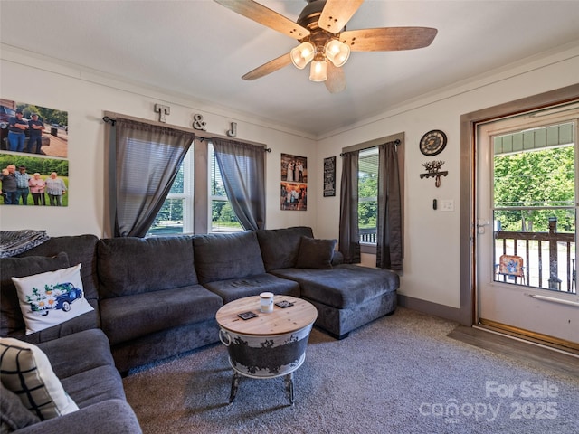 5107 Pisgah Dr, Canton, NC 28716 - photo 8