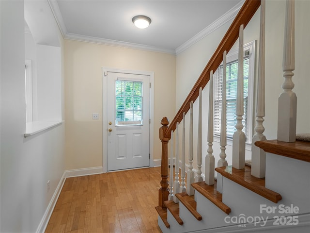 131 White Ash Dr E, Asheville, NC 28803 - photo 5