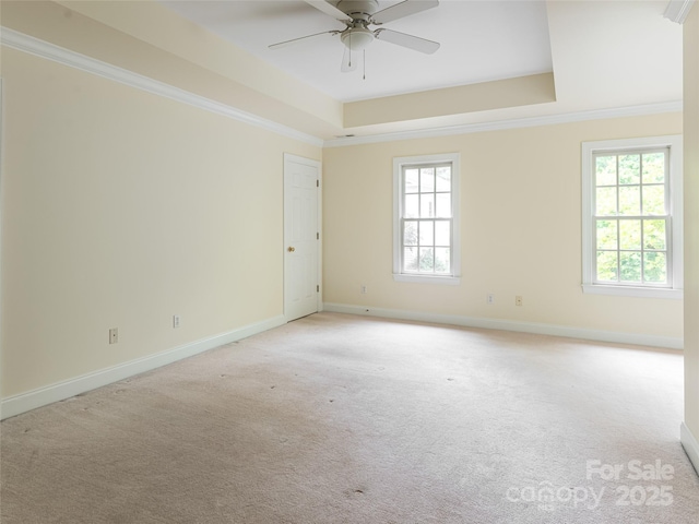 131 White Ash Dr E, Asheville, NC 28803 - photo 23