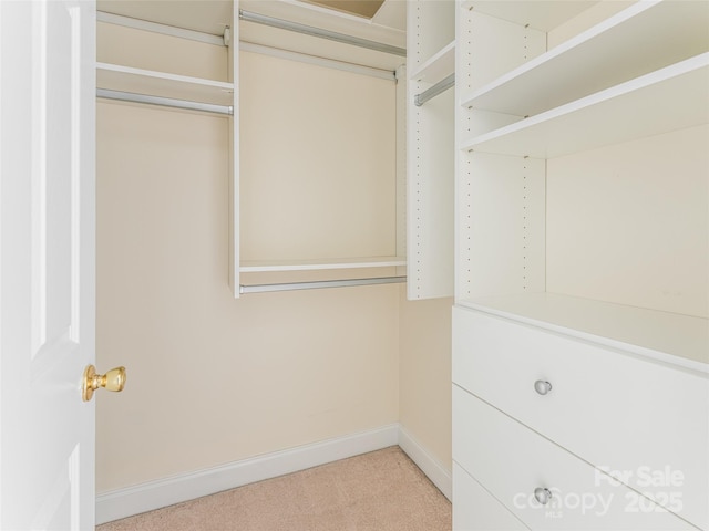 131 White Ash Dr E, Asheville, NC 28803 - photo 25