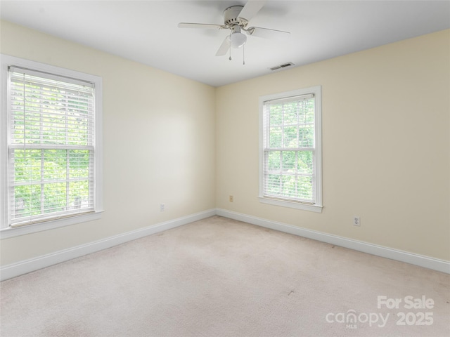 131 White Ash Dr E, Asheville, NC 28803 - photo 30