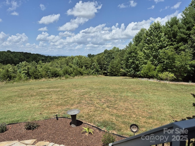 434 Cherry Mountain St, Forest City, NC 28043 - photo 25