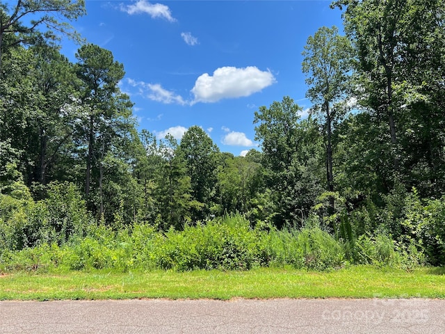 1166 Kensington Cir, Newton, NC 28658 - photo 1