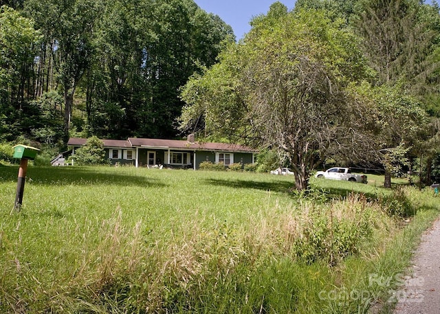 153 Moonshine Mountain Rd, Burnsville, NC 28714 - photo 30