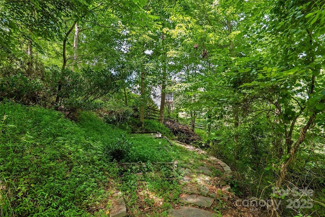 15 Willow Knolls Dr, Weaverville, NC 28787 - photo 33